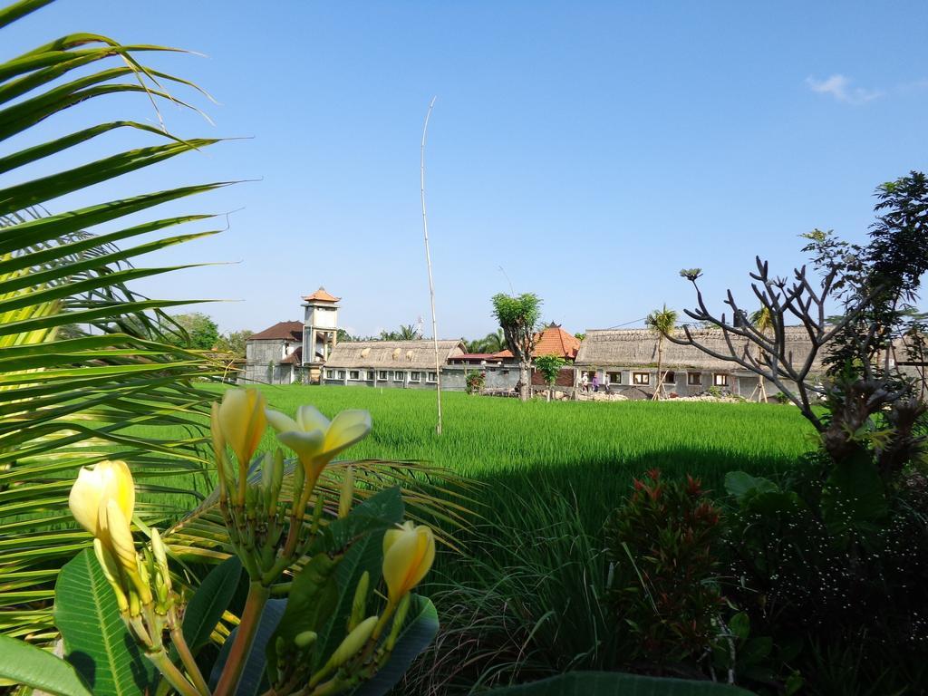 Bening Bungalow Ubud Extérieur photo