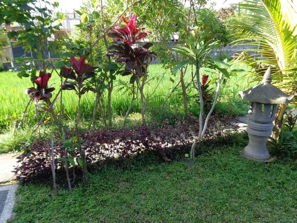 Bening Bungalow Ubud Extérieur photo