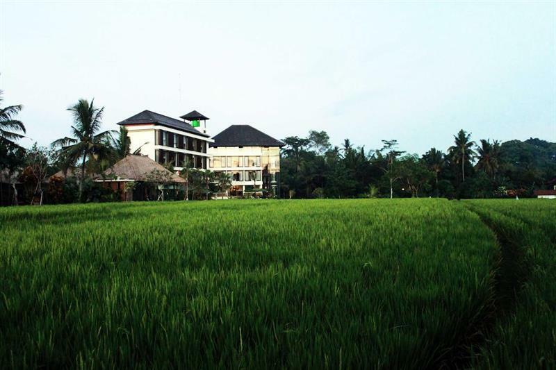 Bening Bungalow Ubud Extérieur photo