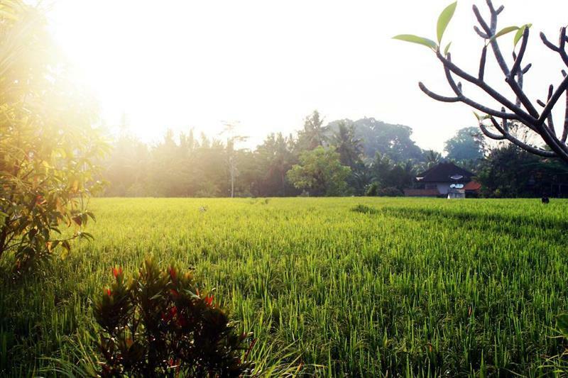 Bening Bungalow Ubud Extérieur photo